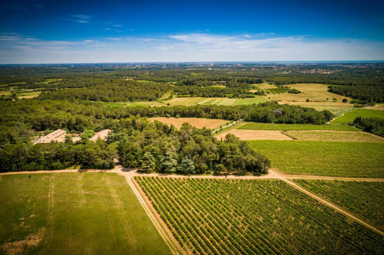 Gite Du Domaine Saint Jean De L'Arbousier 캐스트리스 외부 사진